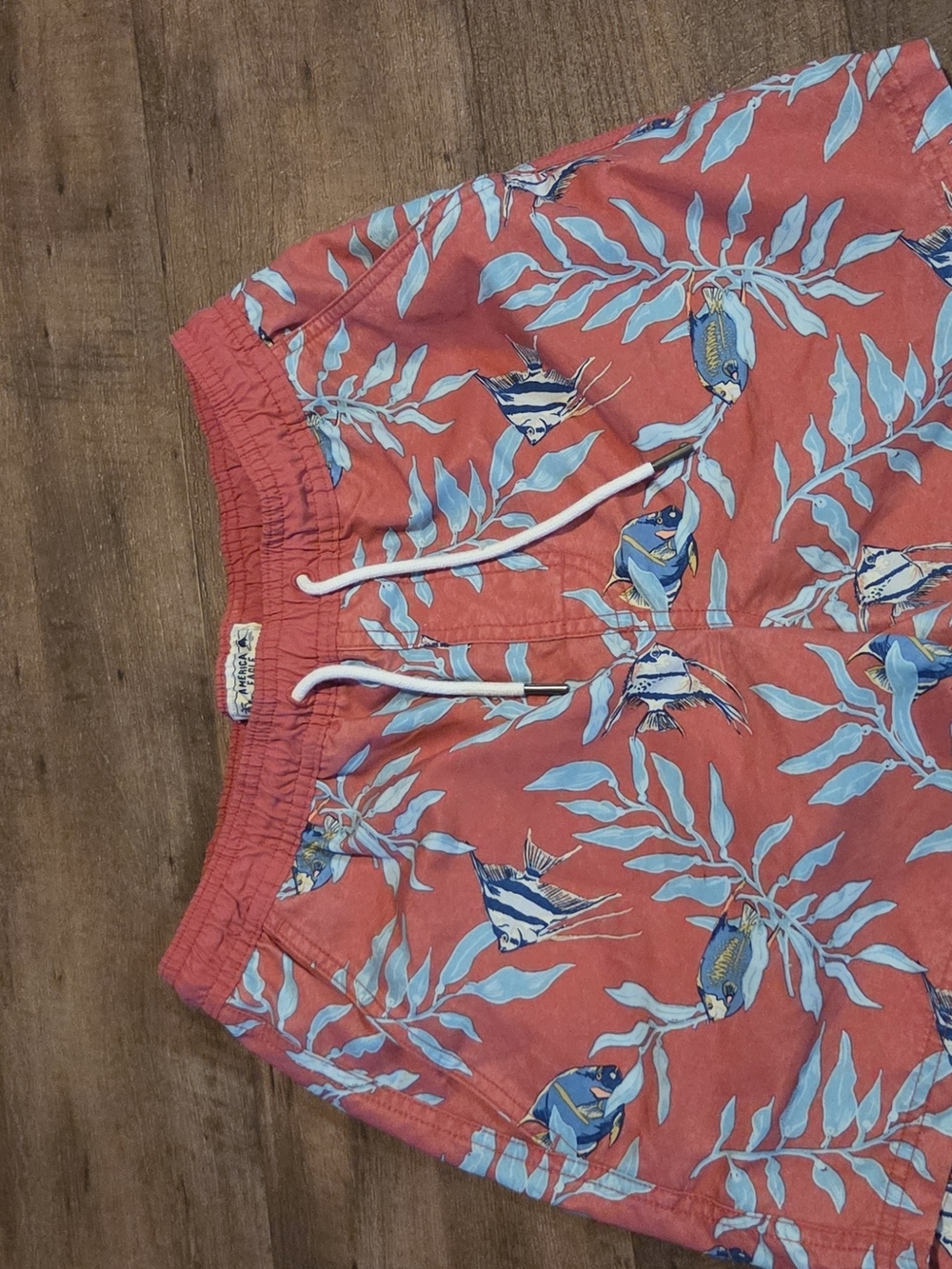 American Eagle Outfitters  Swim Trunks